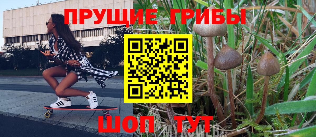 Галлюциногенные грибы прущие грибы Серов